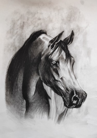 Dessin intitulée "Arabian horse portr…" par Kanat Mks, Œuvre d'art originale, Fusain