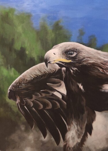 Картина под названием "Eagle's eye" - Kanat Mks, Подлинное произведение искусства, Акрил