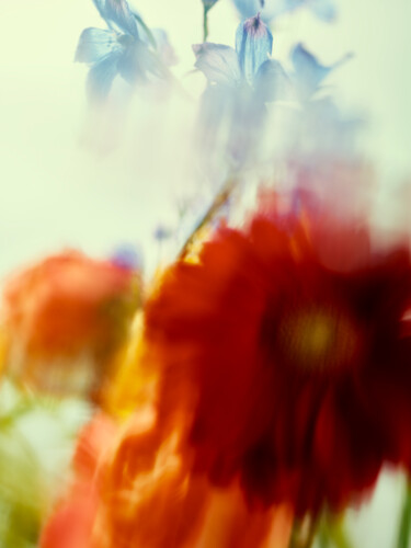 Fotografia intitolato "blurry flowers" da Kang Kim, Opera d'arte originale, Fotografia digitale