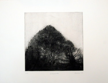 Gravures & estampes intitulée "Crépuscule" par Kaoru Tsuzawa, Œuvre d'art originale, Autre