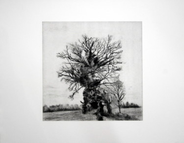 Gravures & estampes intitulée "arbres" par Kaoru Tsuzawa, Œuvre d'art originale