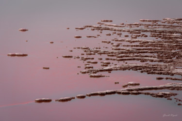 Photography titled "Branches de sel" by Gerald Kapski, Original Artwork, Non Manipulated Photography Mounted on Aluminium