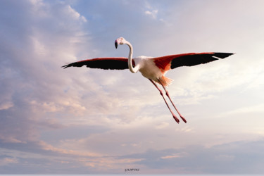 Photographie intitulée "La vie en rose" par Gerald Kapski, Œuvre d'art originale, Photographie numérique