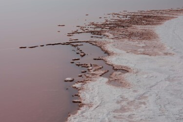 Photographie intitulée "conglomérats organi…" par Gerald Kapski, Œuvre d'art originale, Photographie non manipulée