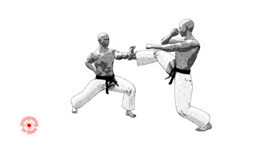 Arte digitale intitolato "Mikazuki geri" da Karate Poster, Opera d'arte originale, Lavoro digitale 2D