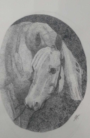 Drawing titled "The horse" by Areeba Khan, Original Artwork