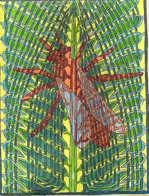 Drawing titled "Woven Leaf Bug" by Karen Wood, Original Artwork