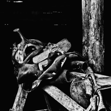Fotografia intitolato "Horse saddle" da Karim Carella, Opera d'arte originale, Fotografia digitale