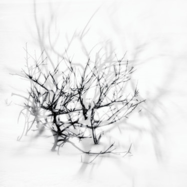Elegeía I Photographie intitulée "Elegeía I" par Karim Carella, Œuvre d'art originale, Photographie numérique