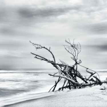 Photographie intitulée "Beach hut" par Karim Carella, Œuvre d'art originale, Photographie numérique