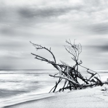 Fotografia intitulada "Beach hut" por Karim Carella, Obras de arte originais, Fotografia digital