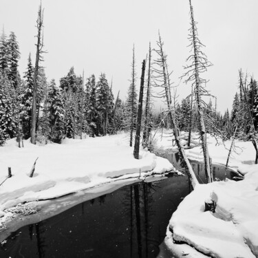Fotografia zatytułowany „Creek in the snowy…” autorstwa Karim Carella, Oryginalna praca, Fotografia cyfrowa