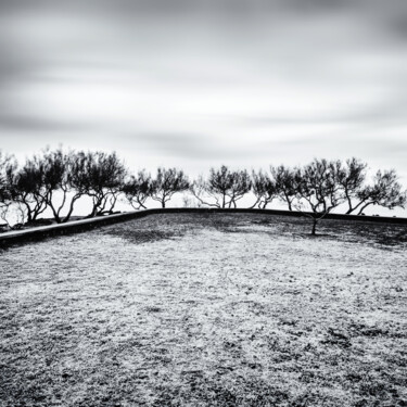 Photography titled "Group of trees over…" by Karim Carella, Original Artwork, Digital Photography