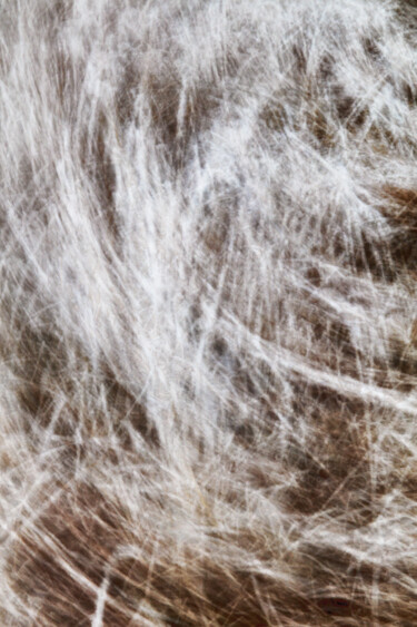 Frozen (studio 2) Photography titled "Frozen (studio 2)" by Karim Carella, Original Art, Digital Photography