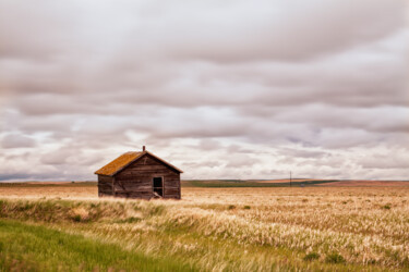Photography titled "Old shack in the gr…" by Karim Carella, Original Artwork, Digital Photography
