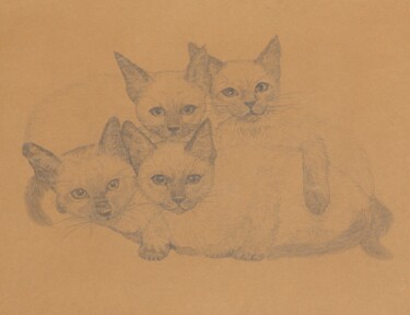 Malerei mit dem Titel "Katzen" von Karin Sternberg, Original-Kunstwerk, Bleistift