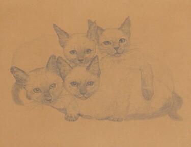 Painting titled "Katzen" by Karin Sternberg, Original Artwork, Pencil