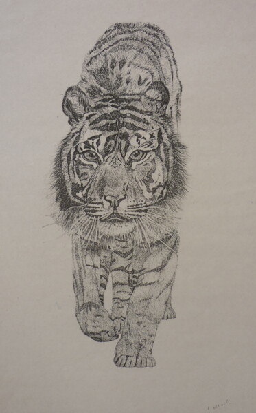 Painting titled "Tiger" by Karin Sternberg, Original Artwork, Pencil