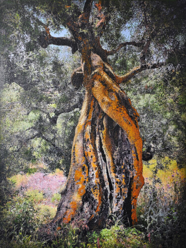 Pintura titulada "Kerion olive tree,…" por Karin Vermeer, Obra de arte original, Oleo Montado en Aluminio