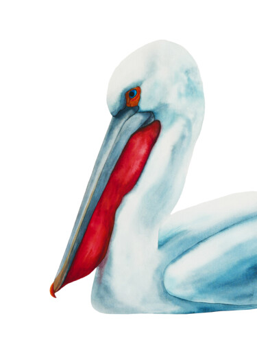 Painting titled "Pensive pelican" by Karina Danylchuk, Original Artwork, Watercolor