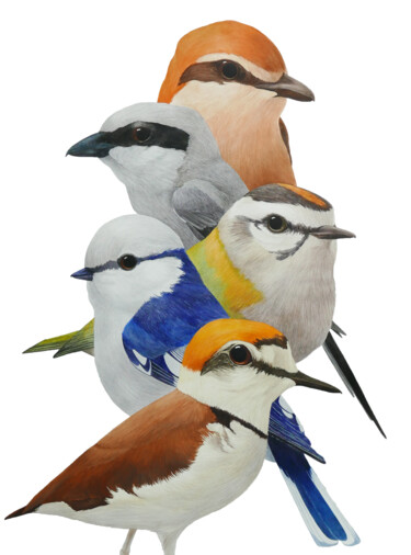 Malerei mit dem Titel "5 birds" von Karina Danylchuk, Original-Kunstwerk, Aquarell