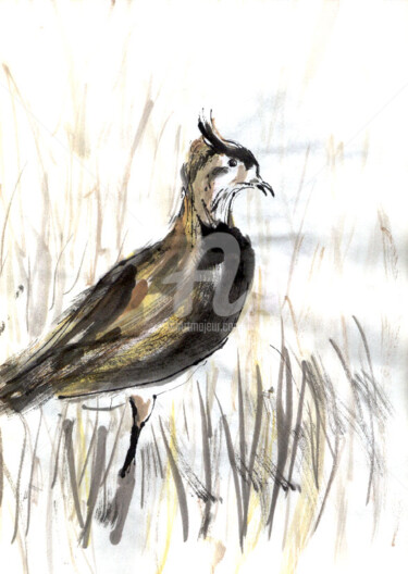 Drawing titled "Ink bird" by Karina Plachetka, Original Artwork, Ink