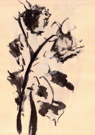 Dessin intitulée "Black roses" par Karina Plachetka, Œuvre d'art originale, Encre