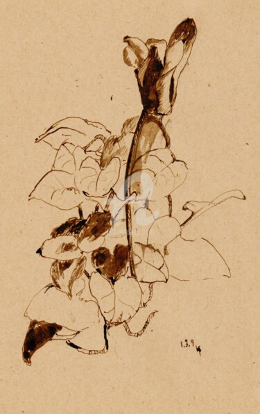 Dibujo titulada "Ink Flowers Collect…" por Karina Plachetka, Obra de arte original, Tinta
