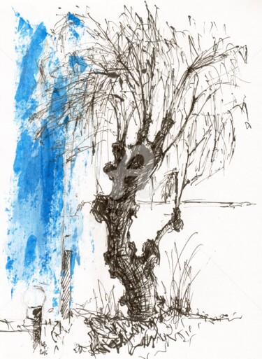 Drawing titled "Lanzarote LC - old…" by Karina Plachetka, Original Artwork, Ink