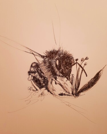Drawing titled "Abeille" by Karl Robial, Original Artwork, Ink