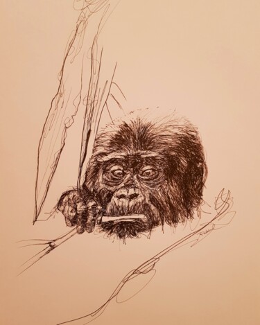 Zeichnungen mit dem Titel "Gorille 2" von Karl Robial, Original-Kunstwerk, Tinte