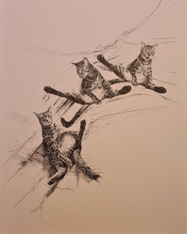 Drawing titled "Miaou" by Karl Robial, Original Artwork, Ink