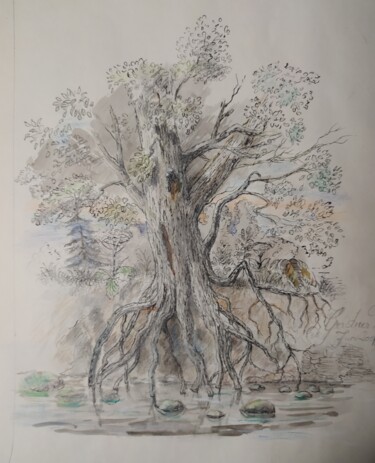 Painting titled "Old tree by the riv…" by Karl-Werner Gerstner, Original Artwork, Pencil