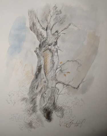 Painting titled "Old tree in the pas…" by Karl-Werner Gerstner, Original Artwork, Ink