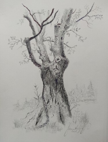 Dessin intitulée "Old beech tree away…" par Karl-Werner Gerstner, Œuvre d'art originale, Encre