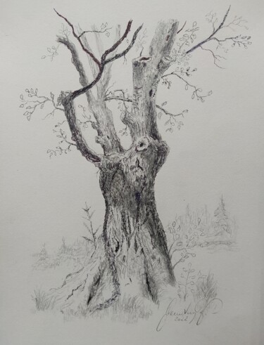 Dibujo titulada "Old beech tree away…" por Karl-Werner Gerstner, Obra de arte original, Tinta