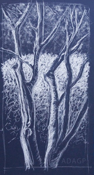 Drawing titled "Etude de troncs d'a…" by Karolus, Original Artwork, Chalk