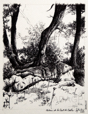 Dessin intitulée "Croquis d'arbres et…" par Karolus, Œuvre d'art originale, Autre