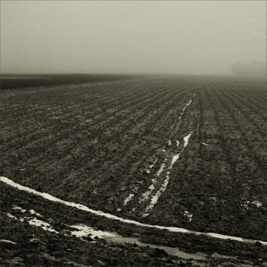 Фотография под названием "В полях под снегом…" - Valentin Kartavenko, Подлинное произведение искусства, Цифровая фотография