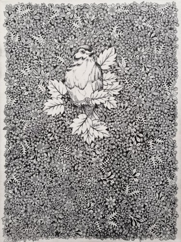 Drawing titled "Bird and flower gar…" by Kartini Pelg, Original Artwork, Ink
