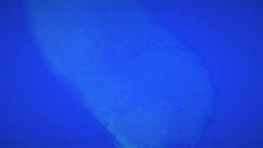 Artes digitais intitulada "Blue desire" por Siham Kartobi, Obras de arte originais, Trabalho Digital 2D