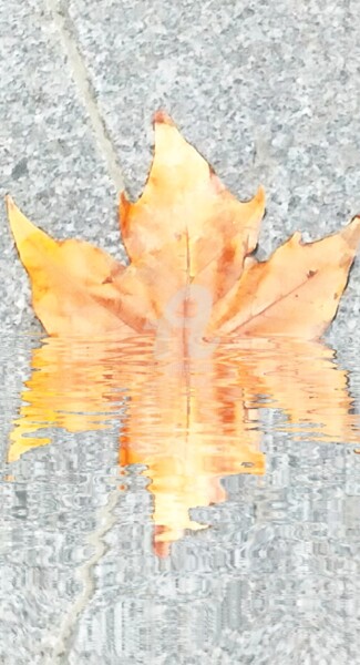 Photographie intitulée "Etoile d'automne ©" par Kasiopea, Œuvre d'art originale, Photographie manipulée