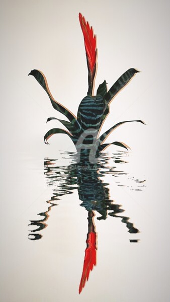 Fotografie mit dem Titel "Tel un oiseau ©" von Kasiopea, Original-Kunstwerk, Digitale Fotografie