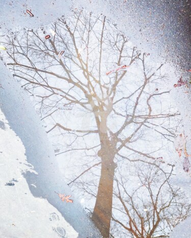 Photographie intitulée "Arbre en 2D ©" par Kasiopea, Œuvre d'art originale, Photographie numérique