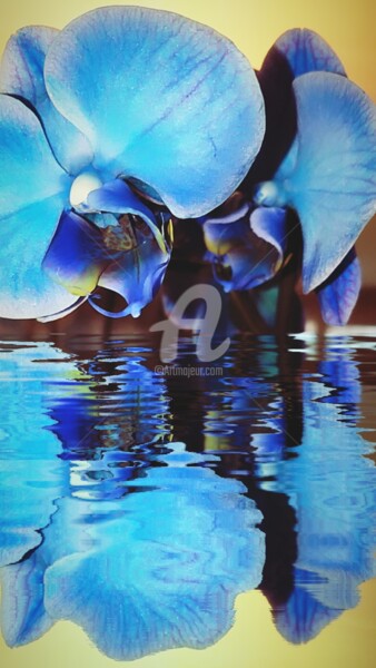 Fotografie getiteld "Réflection phalaeno…" door Kasiopea, Origineel Kunstwerk, Digitale fotografie