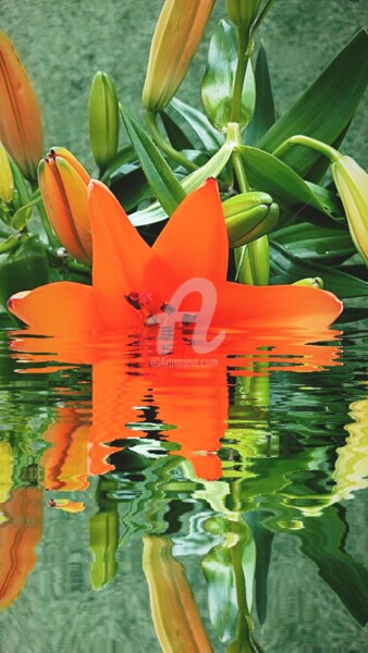 Photographie intitulée "Lilium bulbiferum ©" par Kasiopea, Œuvre d'art originale, Photographie numérique