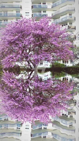 Photography titled "Arbre de Judée ©" by Kasiopea, Original Art, Digital Photography