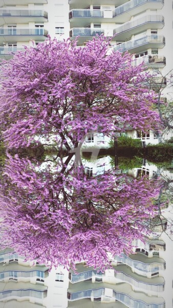 Photographie intitulée "Arbre de Judée ©" par Kasiopea, Œuvre d'art originale, Photographie numérique