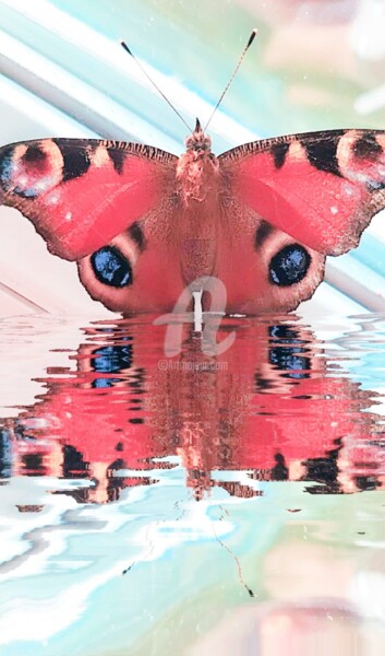 Photographie intitulée "Reflet papillon ©" par Kasiopea, Œuvre d'art originale, Photographie numérique