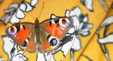 Photographie intitulée "Papillon sur tissu…" par Kasiopea, Œuvre d'art originale, Photographie numérique